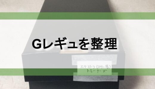 【Gレギュ】サイコエンブレイスよさようなら【スタンダード落ち整理】